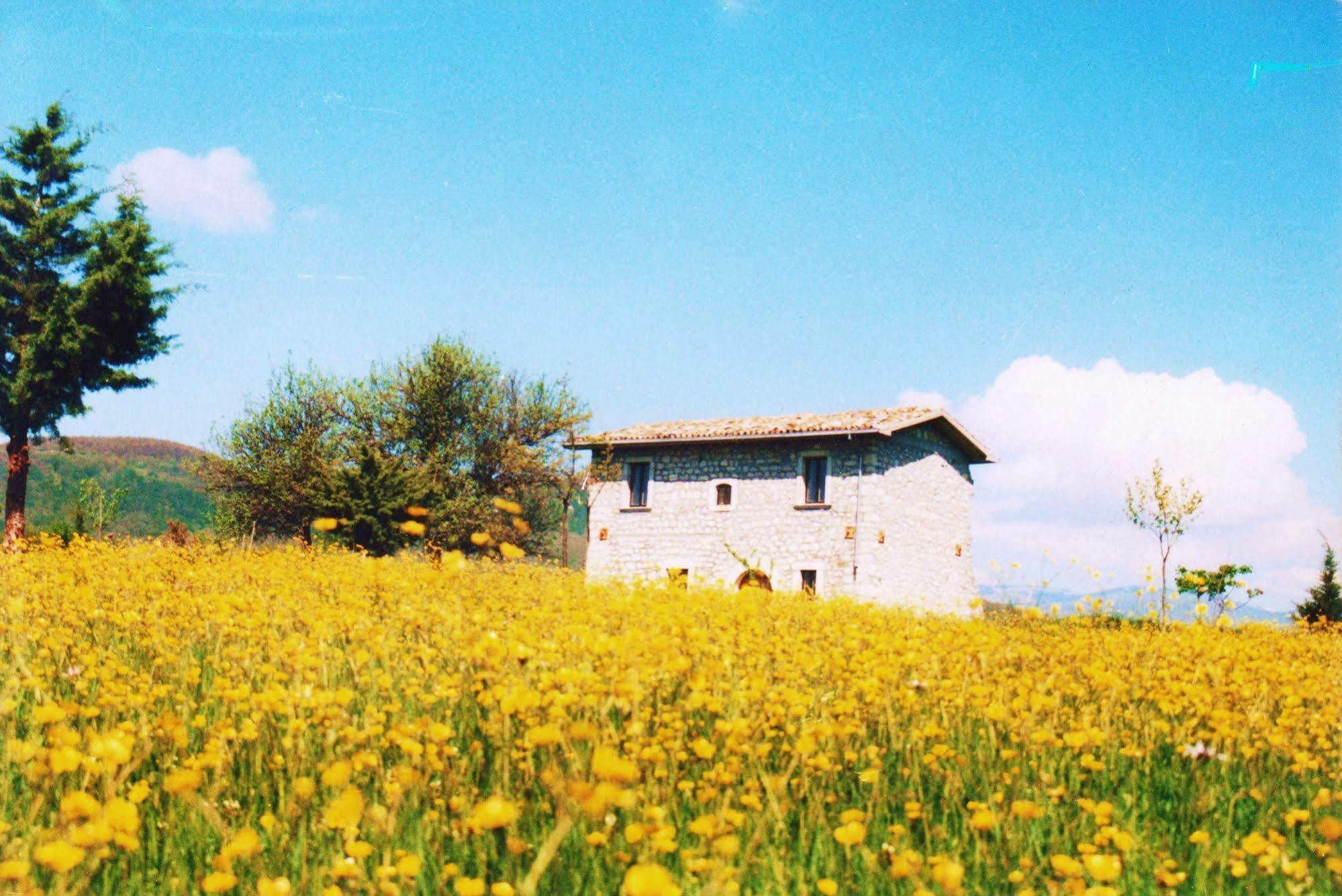 Casino Tonti Iarussi Villa Forli del Sannio Exterior photo
